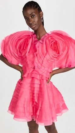 Top 10 🔥 Aje Amour Ruffle Mini 👗 Dress Berry Pink ⌛