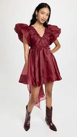 Outlet 🥰 Aje Gretta Organza Mini 👗 Dress Burgundy ⭐